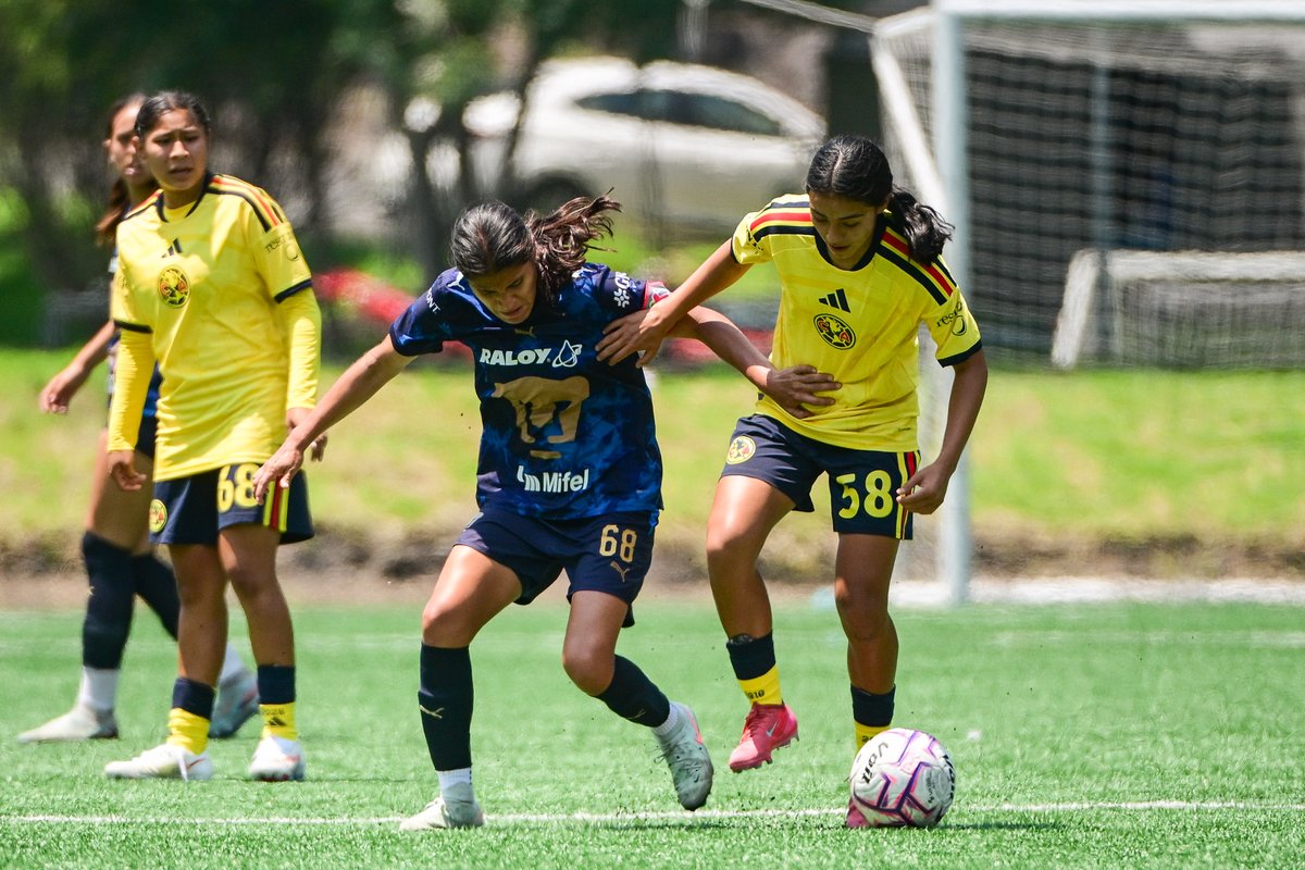 Estudiantes realizando actividades deportivas